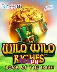888pg slot wild wild riches